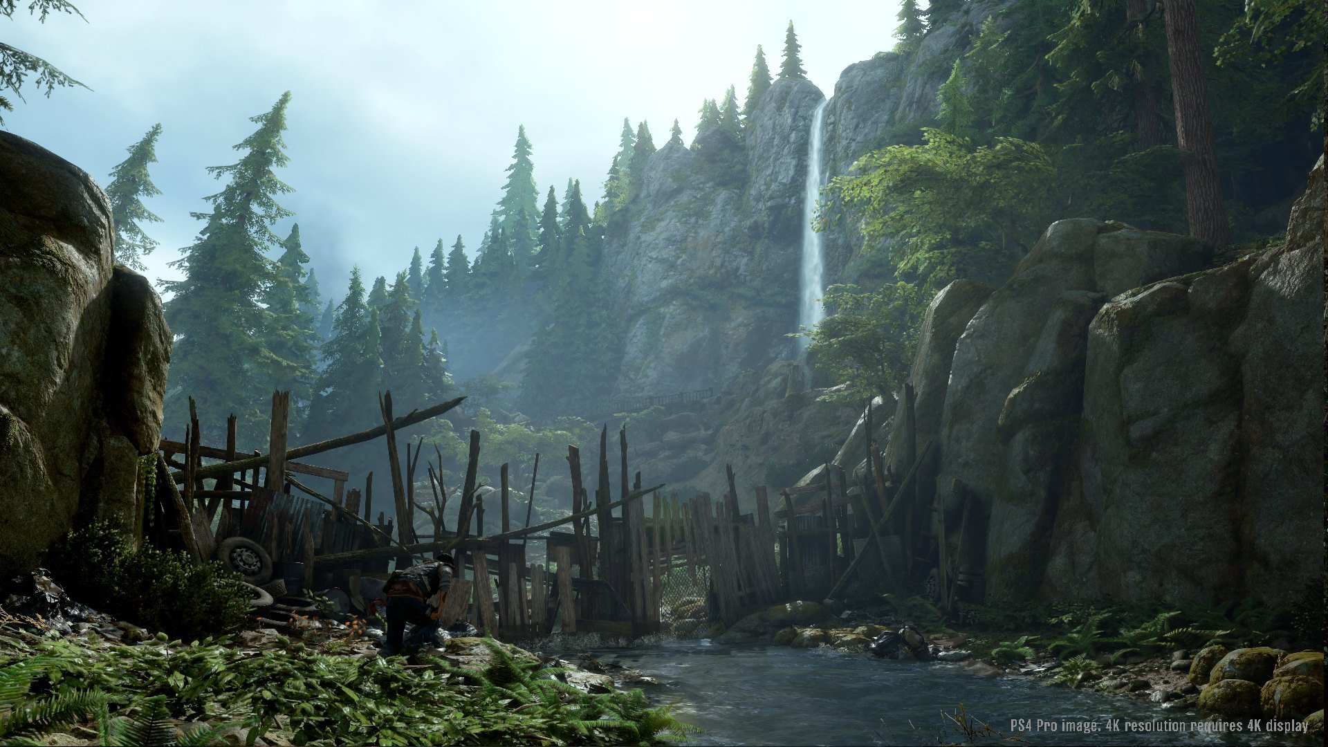 Days Gone - Imagen 17